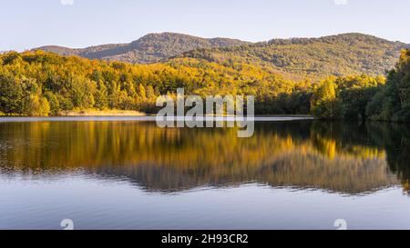 Herbst Buchenwald Reflecter im Wasser Stockfoto