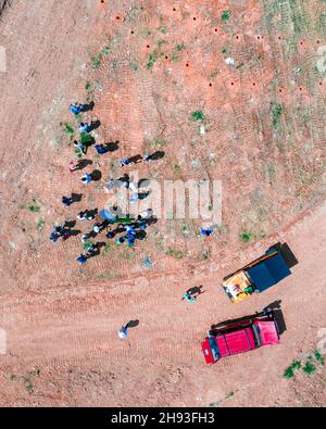 ADJUNTAS, PUERTO RICO - 22. Feb 2020: Eine Luftaufnahme von Freiwilligen, die Kaffeesämlinge auf dem Farmfeld Pflanzen Stockfoto