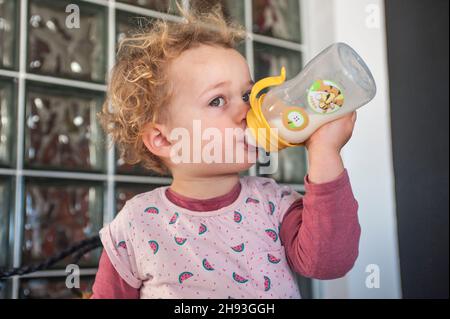 Ein 2-jähriges Mädchen trinkt eine Babyflasche Milch. Stockfoto