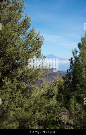 Blick vom Barranco de las Lajas im Osten von La Gomera auf der Kanarischen Insel auf den Vulkan Teide auf Teneriffa. Stockfoto