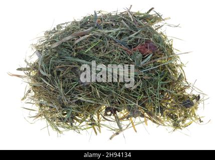 Es ist nur ein Klumpen von trockenem Gras und Heu isoliert Makro Stockfoto