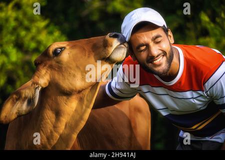 Mann mit schöner Kuh und Mann spielt mit Kuh-Tierpflege Bild Stockfoto