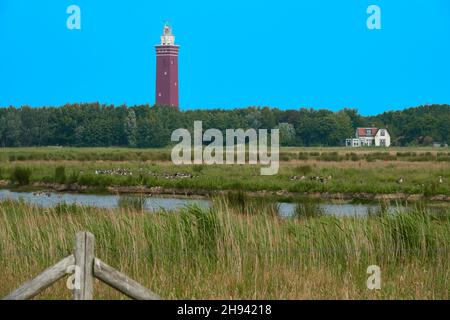 Brauner Zaun und grünes Schilf im Vordergrund. Vögel am See.im Hintergrund Leuchtturm und Wohnhaus vor blauem Himmel. Niederlande Stockfoto