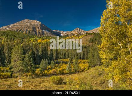 Salt River Range, Virginia Peak auf der linken Seite, Blick über Moose Flat und Grays River Road (FR 10138), im Herbst Bridger Teton National Forest, Wyoming, USA Stockfoto