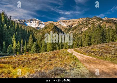 Unbenannte Gipfel in der Salt River Range, Blick von der Murphy Lakes Road (FR 10002), Murphy Lakes Area, im Herbst, Bridger Teton National Forest, Wyoming, USA Stockfoto