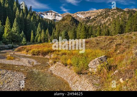 Murphy Creek, Salt River Range, Blick von der Murphy Lakes Road (FR 10002), Murphy Lakes Area, im Herbst, Bridger Teton National Forest, Wyoming, USA Stockfoto