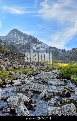 Große, mit Flechten überwuchert Granitfragmente liegen im Wasser eines Bergstroms. Abend im August. Ostsibirien. Russland Stockfoto