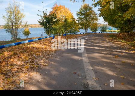 Eine Landstraße, die mit Ahornblättern im Herbst übersät ist Tag Stockfoto