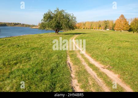 Ländlicher Weg zu einem großen Baum am See An einem Herbsttag Stockfoto
