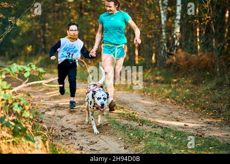 Svetly, Oblast Königsberg, Russland - 2. Oktober 2021 - Canicross-Übungen, Mutter und ihr Sohn laufen mit Händen am dalmatinischen Hund, Canicr Stockfoto