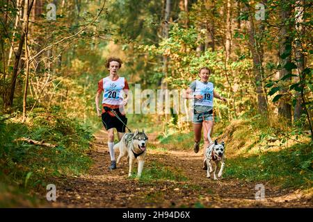 Svetly, Oblast Königsberg, Russland - 2. Oktober 2021 - Canicross-Übungen, junger Mann und Erwachsene Frau laufen mit sibirischem Husky und dalmatinischem Hund, c Stockfoto