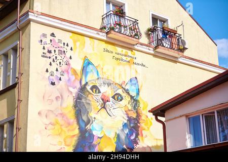 Zelenogradsk, Russland - 07.30.2021 - Bunte Graffiti-Katze an der Hauswand. Niedliche bunte Kätzchen Graffiti an der Gebäudewand. Helle Dekoration von Urba Stockfoto