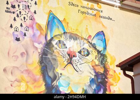 Zelenogradsk, Russland - 07.30.2021 - Bunte Graffiti-Katze an der Hauswand. Niedliche bunte Kätzchen Graffiti an der Gebäudewand. Helle Dekoration von Urba Stockfoto
