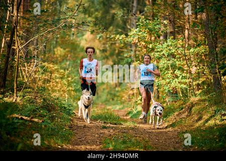 Svetly, Oblast Königsberg, Russland - 2. Oktober 2021 - Canicross-Übungen, junger Mann und Erwachsene Frau laufen mit sibirischem Husky und dalmatinischem Hund, c Stockfoto