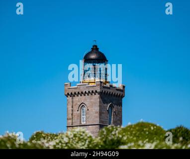 Viktorianische Leuchtturmlaterne am sonnigen Tag mit blauem Himmel, Isle of May, Schottland, Großbritannien Stockfoto