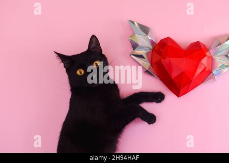 Rotes polygonales Papierherz mit Flügeln. Eine schwarze Katze auf einem rosa Hintergrund. Stockfoto