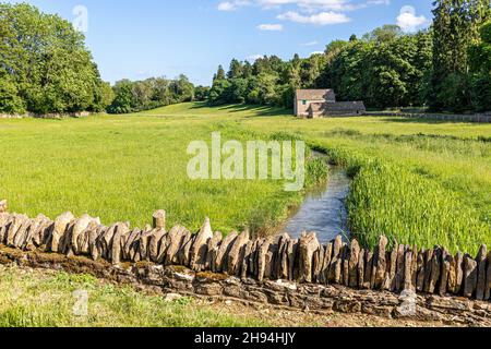 Alte Steinhäuser am Säugling River Coln im Juni in der Nähe des Cotswold-Dorfes Yanworth, Gloucestershire, Großbritannien Stockfoto