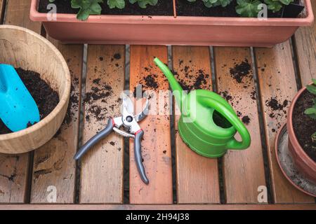 Gartengeräte auf Holztisch. Topfpflanze. Pflanzen von Pelargonium Blumen in Fensterbox Stockfoto