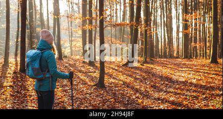 Wandern im Freien in der Herbstsaison. Herbstwanderung im Wald. Frau Tourist mit Rucksack und Wanderstock Blick auf Sonnenstrahl im Wald. Panoramablick Stockfoto