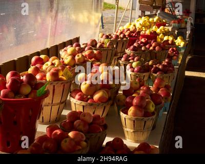 Äpfel zum Verkauf auf einem Straßenmarkt in Churchtown, Lancaster County, Pennsylvania, USA Stockfoto