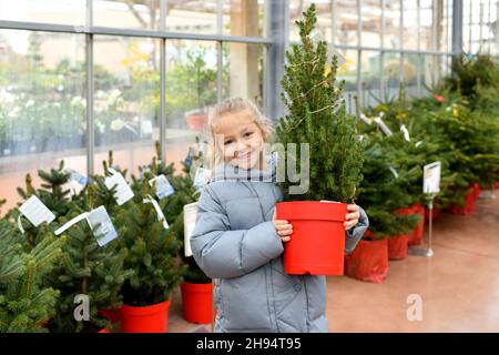 Kleines Mädchen wählt einen Weihnachtsbaum auf dem Markt. Stockfoto