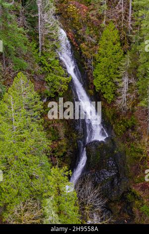 Blick von der High Steel Bridge über den South Fork Skokomish River auf den Olympic National Forest, Olympic Peninsula, Washington State, USA Stockfoto