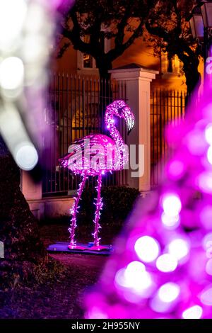 Weihnachtslichter in Gaeta, Märchen vom Licht 2019, Gaeta, Latium, Italien. Darstellung von violettem Flamingo. Stockfoto