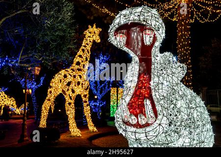 Die sehr schönen Weihnachtslichter in Gaeta, Märchen vom Licht 2019, Gaeta, Latium, Italien. Darstellung von Nilpferd und Giraffe. Stockfoto