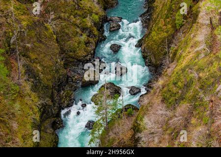 Blick von der High Steel Bridge über den South Fork Skokomish River auf den Olympic National Forest, Olympic Peninsula, Washington State, USA Stockfoto