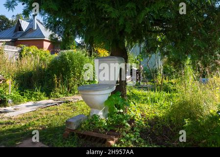 Toilettenschüssel und Zisterne unter einem Baum an einem Sommer Tag Natur Stockfoto
