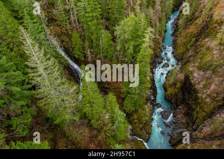 Blick von der High Steel Bridge über den South Fork Skokomish River auf den Olympic National Forest, Olympic Peninsula, Washington State, USA Stockfoto