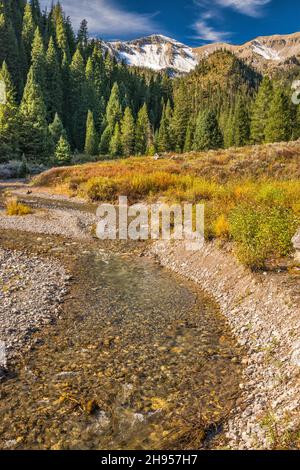 Murphy Creek streambed, Salt River Range, Blick von der Murphy Lakes Road (FR 10002), Murphy Lakes Area, Bridger Teton National Forest, Wyoming, USA Stockfoto