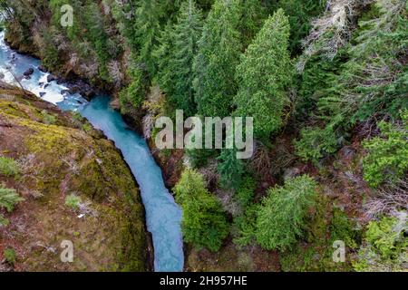 Blick von der High Steel Bridge über den South Fork Skokomish River auf den Olympic National Forest, Olympic Peninsula, Washington State, USA Stockfoto