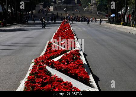 Nicht exklusiv: MEXIKO-STADT, MEXIKO - 3. DEZEMBER 2021: Blick auf die Poinsettia Blumen mit Engel der Unabhängigkeit schmückt die Reforma Avenue am Stockfoto