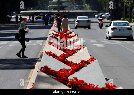 Nicht exklusiv: MEXIKO-STADT, MEXIKO - 3. DEZEMBER 2021: Blick auf die Poinsettia Blumen mit Engel der Unabhängigkeit schmückt die Reforma Avenue am Stockfoto