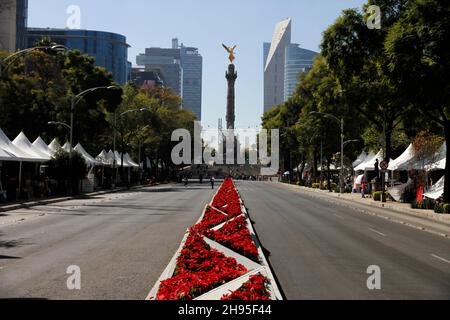 Nicht exklusiv: MEXIKO-STADT, MEXIKO - 3. DEZEMBER 2021: Blick auf die Poinsettia Blumen mit Engel der Unabhängigkeit schmückt die Reforma Avenue am Stockfoto