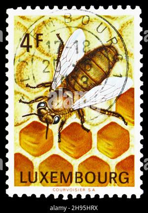 MOSKAU, RUSSLAND - 24. OKTOBER 2021: Die in Luxemburg gedruckte Briefmarke zeigt Honey Bee (APIs mellifica), um 1973 Stockfoto