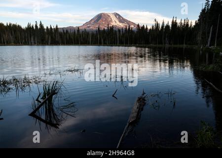 WA20485-00....WASHINGTON - Mount Adams vom Horseshoe Lake Gifford Pinchot National Forest aus gesehen. Stockfoto