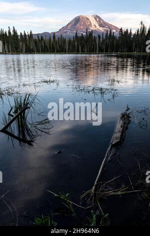 WA20486-00....WASHINGTON - Mount Adams vom Horseshoe Lake Gifford Pinchot National Forest aus gesehen. Stockfoto