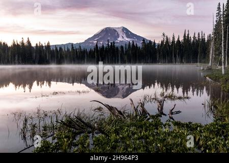 WA20488-00....WASHINGTON - Mount Adams vom Horseshoe Lake Gifford Pinchot National Forest aus gesehen. Stockfoto