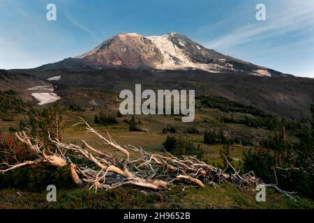 WA20491-00....WASHINGTON - High Camp Area in der Mount Adams Wilderness, Gifford Pinchot National Forest. Stockfoto