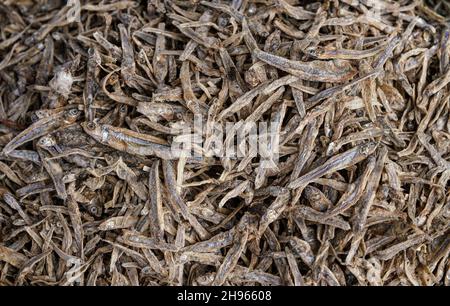 Kleine getrocknete Fische auf dem Lebensmittelmarkt in Ranohira, Madagaskar, Nahaufnahme Detail Stockfoto