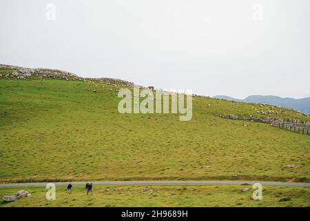 Fahren Sie über die Pyrenäen von St. Jean Pied du Port nach Roncevaux auf dem Camino Frances nach Santiago de Compostela. Hochwertige Fotos Stockfoto