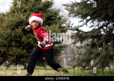 Ein fröhlicher Junge in einem roten Weihnachtspullover mit einem Rentier und einem Weihnachtsmann-Hut ist in einem Park, in dem Weihnachtsbäume wachsen und aus einem Baum springen, für den sich posiert Stockfoto