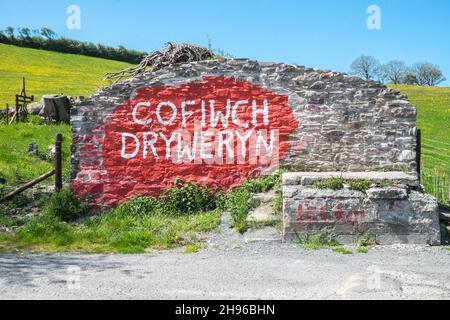 Das Cofiwch Dryweryn Wandbild, politisch, grafitti, auf der A487 nahe Llanrhystud, Süden, Aberystwyth wurde wiederholt verwüstet.das Protestbild wurde 1965 gemalt, nachdem das Dorf Capel Celyn bei Bala in Gwynedd überflutet wurde, um ein Reservoir für die Wasserversorgung von Liverpool zu schaffen.Cofiwch Dryweryn (Englisch: 'Denk an Tryweryn') oder Y Wal Cofiwch Dryweryn ist ein Graffitti, Graffitti, Graffiti, Stein, Wand, Near, Llanrhystud, Ceredigion, Wales. Cofiwch Dryweryn,West,Mid,Wales,walisisch,Unabhängigkeit,walisische Unabhängigkeit,Nation,national,Nationalismus,Nationalist,Stolz,Leidenschaft,Patriotismus,Großbritannien, Stockfoto