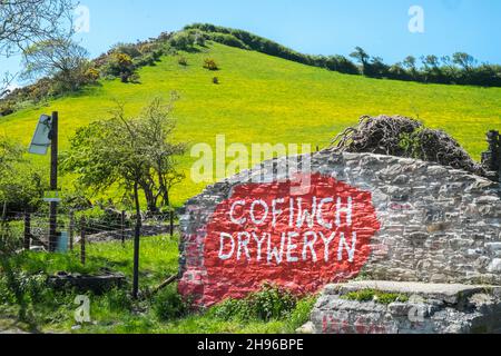 Das Cofiwch Dryweryn Wandbild, politisch, grafitti, auf der A487 nahe Llanrhystud, Süden, Aberystwyth wurde wiederholt verwüstet.das Protestbild wurde 1965 gemalt, nachdem das Dorf Capel Celyn bei Bala in Gwynedd überflutet wurde, um ein Reservoir für die Wasserversorgung von Liverpool zu schaffen.Cofiwch Dryweryn (Englisch: 'Denk an Tryweryn') oder Y Wal Cofiwch Dryweryn ist ein Graffitti, Graffitti, Graffiti, Stein, Wand, Near, Llanrhystud, Ceredigion, Wales. Cofiwch Dryweryn,West,Mid,Wales,walisisch,Unabhängigkeit,walisische Unabhängigkeit,Nation,national,Nationalismus,Nationalist,Stolz,Leidenschaft,Patriotismus,Großbritannien, Stockfoto