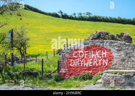 Das Cofiwch Dryweryn Wandbild, politisch, grafitti, auf der A487 nahe Llanrhystud, Süden, Aberystwyth wurde wiederholt verwüstet.das Protestbild wurde 1965 gemalt, nachdem das Dorf Capel Celyn bei Bala in Gwynedd überflutet wurde, um ein Reservoir für die Wasserversorgung von Liverpool zu schaffen.Cofiwch Dryweryn (Englisch: 'Denk an Tryweryn') oder Y Wal Cofiwch Dryweryn ist ein Graffitti, Graffitti, Graffiti, Stein, Wand, Near, Llanrhystud, Ceredigion, Wales. Cofiwch Dryweryn,West,Mid,Wales,walisisch,Unabhängigkeit,walisische Unabhängigkeit,Nation,national,Nationalismus,Nationalist,Stolz,Leidenschaft,Patriotismus,Großbritannien, Stockfoto