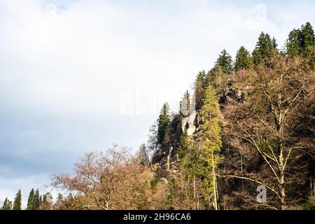 Berühmter Park in City-Resort mit Mineralwasser Quellen Borjomi in den Bergen von Georgien Stockfoto