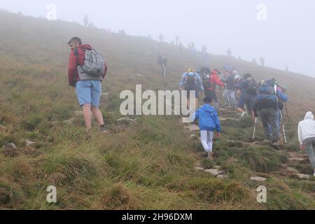 Peak Hoverla/Ukraine - Touristen mit Kindern klettern im starken Nebel auf den Gipfel des Berges. Die Spitze des Berges ist mit Wolken bedeckt Stockfoto