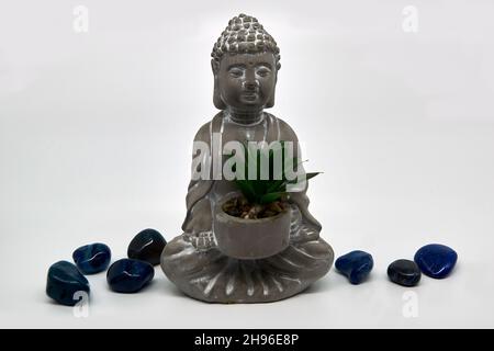 Ein kleiner grauer Buddha mit einer Sukulente, umgeben von sieben blauen Halbedelsteinen. Einer der Steine ist wahrscheinlich ein Lapis Lazuli. Weißer Hintergrund. Stockfoto